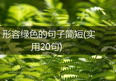 形容绿色的句子简短(实用20句)