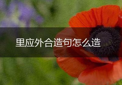 里应外合造句怎么造