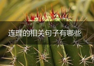 连理的相关句子有哪些