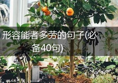 形容能者多劳的句子(必备40句)