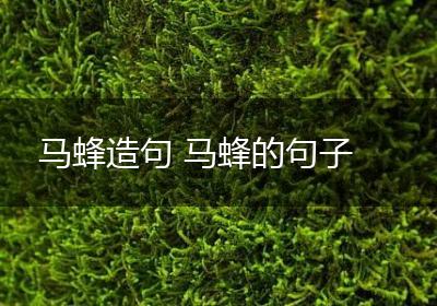 马蜂造句 马蜂的句子