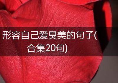 形容自己爱臭美的句子(合集20句)