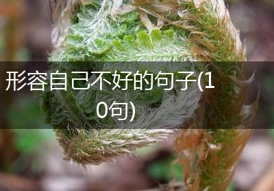 形容自己不好的句子(10句)