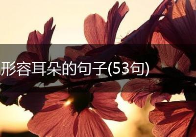 形容耳朵的句子(53句)