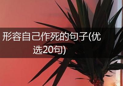 形容自己作死的句子(优选20句)