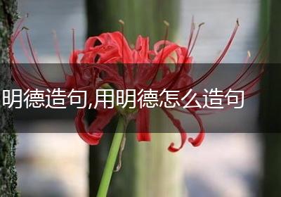 明德造句,用明德怎么造句