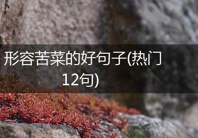 形容苦菜的好句子(热门12句)