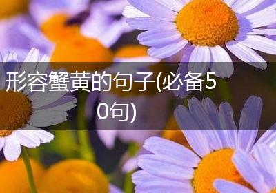 形容蟹黄的句子(必备50句)