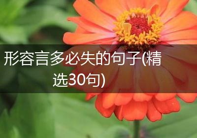 形容言多必失的句子(精选30句)