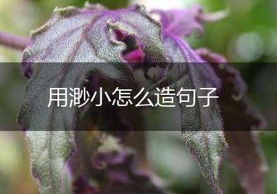 用渺小怎么造句子