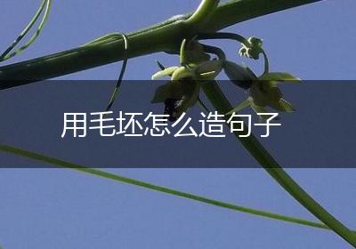 用毛坯怎么造句子