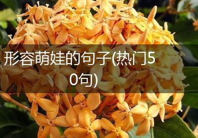 形容萌娃的句子(热门50句)