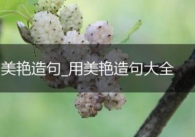 美艳造句_用美艳造句大全