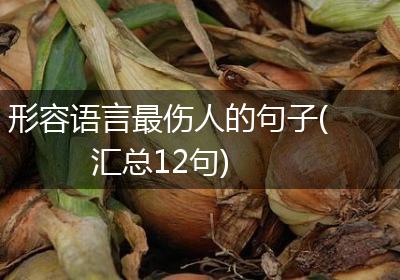形容语言最伤人的句子(汇总12句)