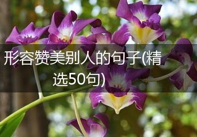 形容赞美别人的句子(精选50句)