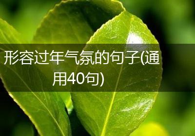 形容过年气氛的句子(通用40句)