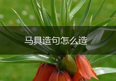 马具造句怎么造