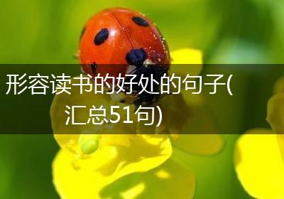 形容读书的好处的句子(汇总51句)