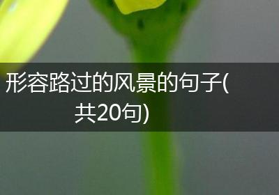 形容路过的风景的句子(共20句)