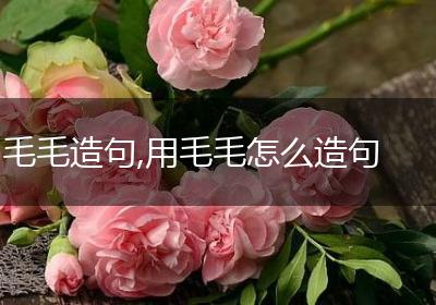 毛毛造句,用毛毛怎么造句