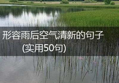 形容雨后空气清新的句子(实用50句)