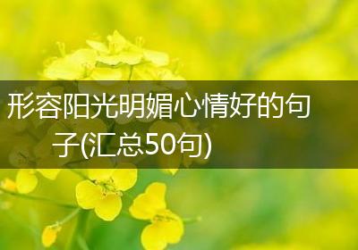 形容阳光明媚心情好的句子(汇总50句)