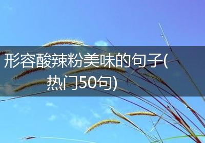 形容酸辣粉美味的句子(热门50句)