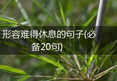 形容难得休息的句子(必备20句)