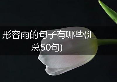 形容雨的句子有哪些(汇总50句)