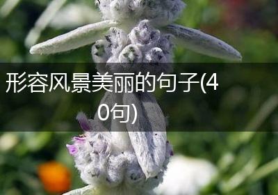 形容风景美丽的句子(40句)