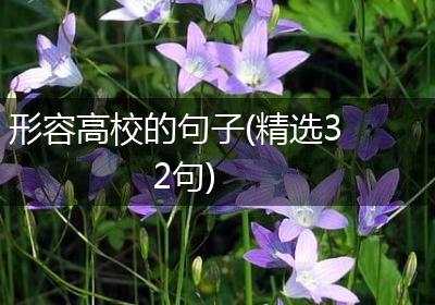形容高校的句子(精选32句)