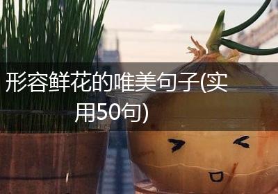 形容鲜花的唯美句子(实用50句)