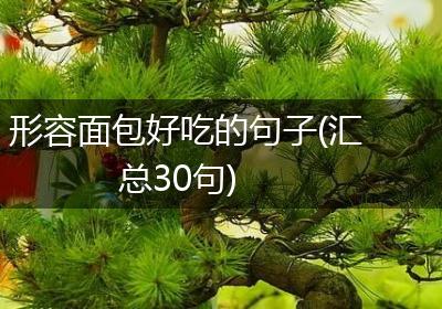 形容面包好吃的句子(汇总30句)