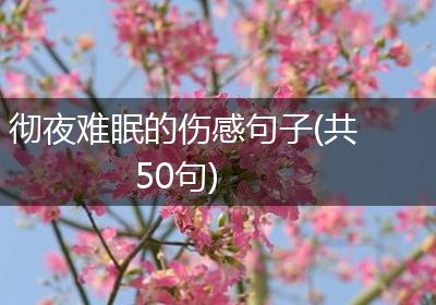 彻夜难眠的伤感句子(共50句)