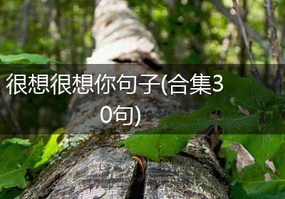 很想很想你句子(合集30句)