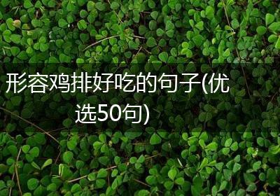 形容鸡排好吃的句子(优选50句)