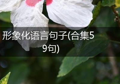 形象化语言句子(合集59句)