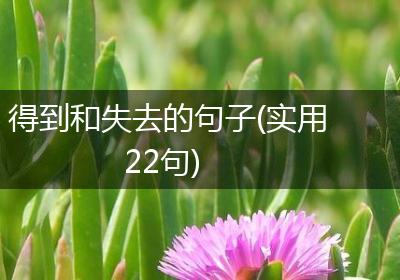 得到和失去的句子(实用22句)