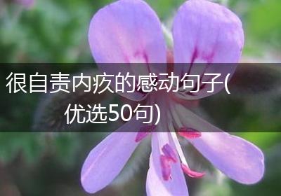 很自责内疚的感动句子(优选50句)