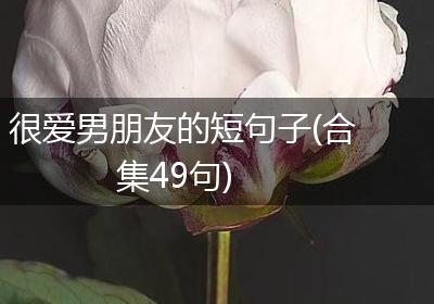 很爱男朋友的短句子(合集49句)