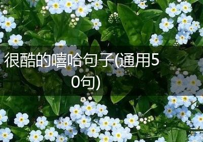 很酷的嘻哈句子(通用50句)