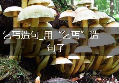 乞丐造句_用“乞丐”造句子