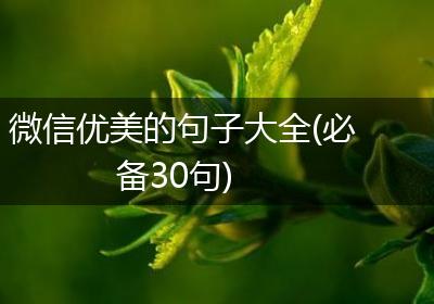 微信优美的句子大全(必备30句)