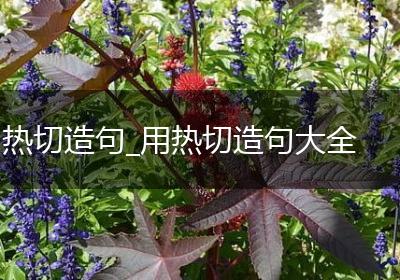 热切造句_用热切造句大全