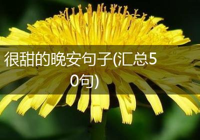 很甜的晚安句子(汇总50句)