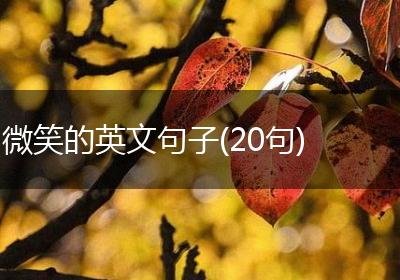 微笑的英文句子(20句)