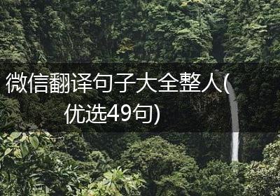 微信翻译句子大全整人(优选49句)