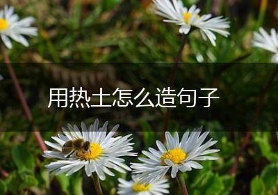用热土怎么造句子