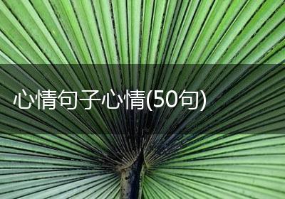 心情句子心情(50句)