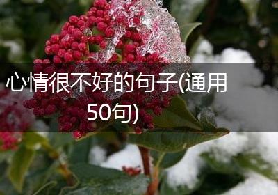心情很不好的句子(通用50句)